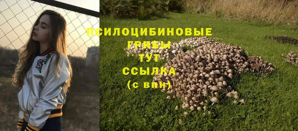 гашиш Абаза