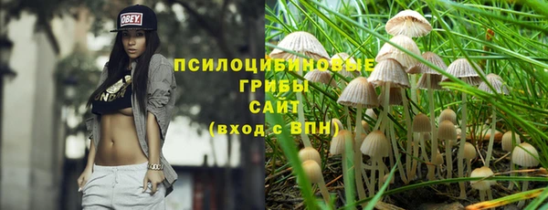 прущие крисы Ессентукская
