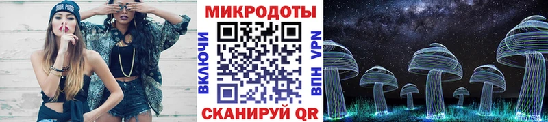 закладка  Калининград  Галлюциногенные грибы Cubensis 